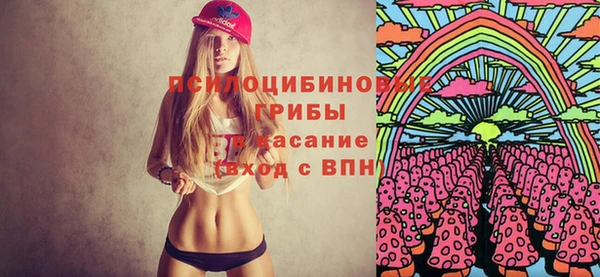 PSILOCYBIN Куйбышев