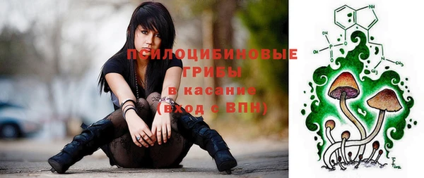 ГАЛЛЮЦИНОГЕННЫЕ ГРИБЫ Красноперекопск